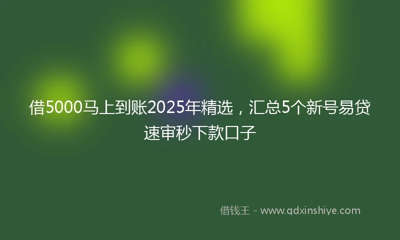 借5000马上到账2025年精选，汇总5个新号易贷速审秒下款口子