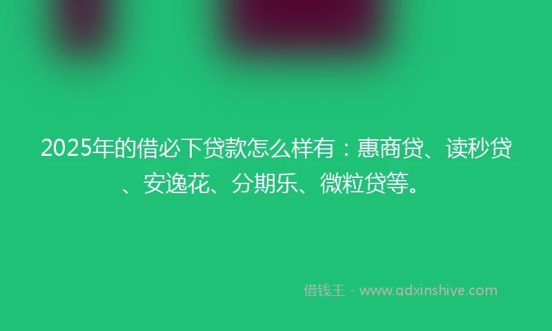 2025年的借必下贷款怎么样有：惠商贷、读秒贷、安逸花、分期乐、微粒贷等。