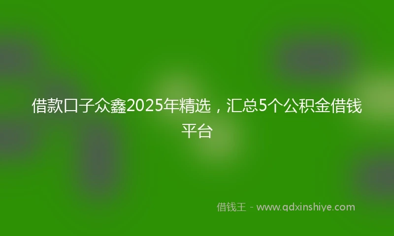 借款口子众鑫2025年精选，汇总5个公积金借钱平台