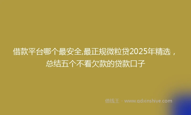借款平台哪个最安全,最正规微粒贷2025年精选，总结五个不看欠款的贷款口子