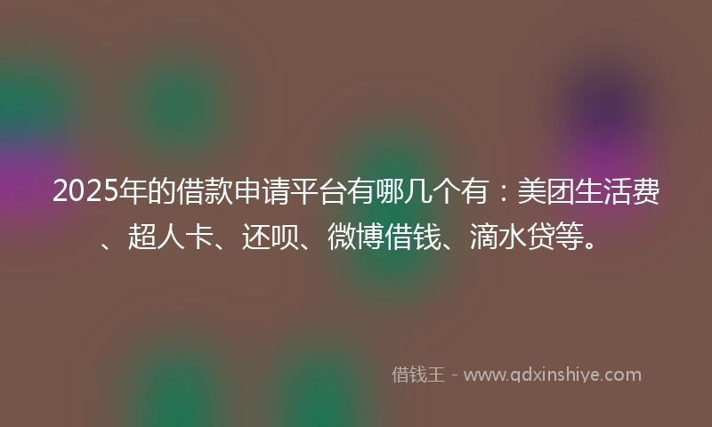 2025年的借款申请平台有哪几个有：美团生活费、超人卡、还呗、微博借钱、滴水贷等。