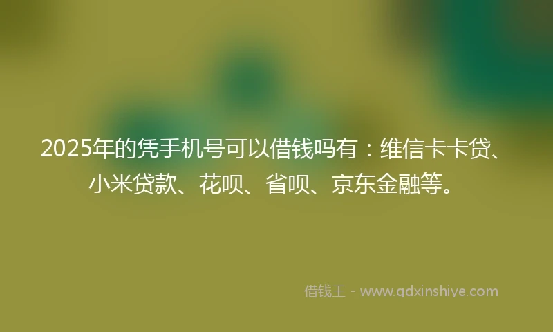 2025年的凭手机号可以借钱吗有：维信卡卡贷、小米贷款、花呗、省呗、京东金融等。