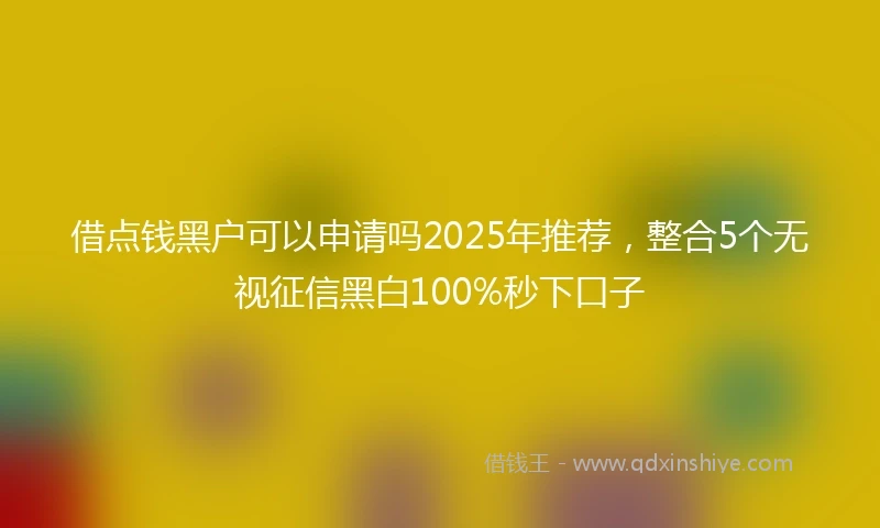 借点钱黑户可以申请吗2025年推荐，整合5个无视征信黑白100%秒下口子