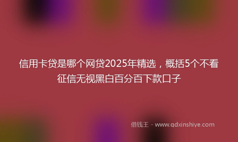 信用卡贷是哪个网贷2025年精选，概括5个不看征信无视黑白百分百下款口子