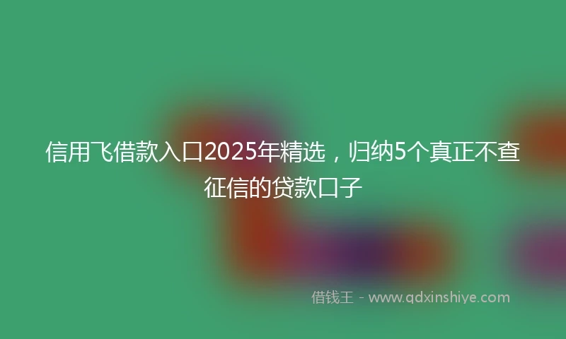 信用飞借款入口2025年精选，归纳5个真正不查征信的贷款口子