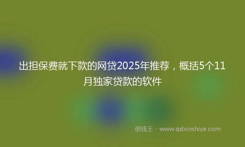 出担保费就下款的网贷2025年推荐，概括5个11月独家贷款的软件
