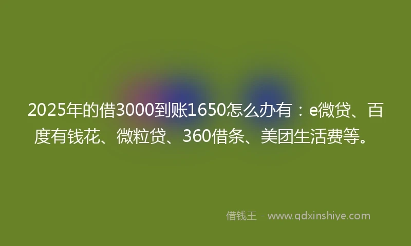 2025年的借3000到账1650怎么办有：e微贷、百度有钱花、微粒贷、360借条、美团生活费等。