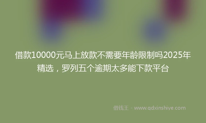 借款10000元马上放款不需要年龄限制吗2025年精选，罗列五个逾期太多能下款平台