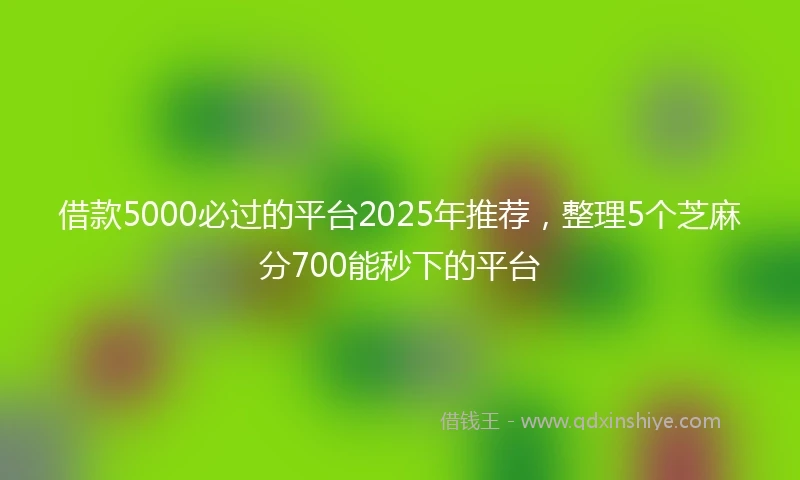 借款5000必过的平台2025年推荐，整理5个芝麻分700能秒下的平台
