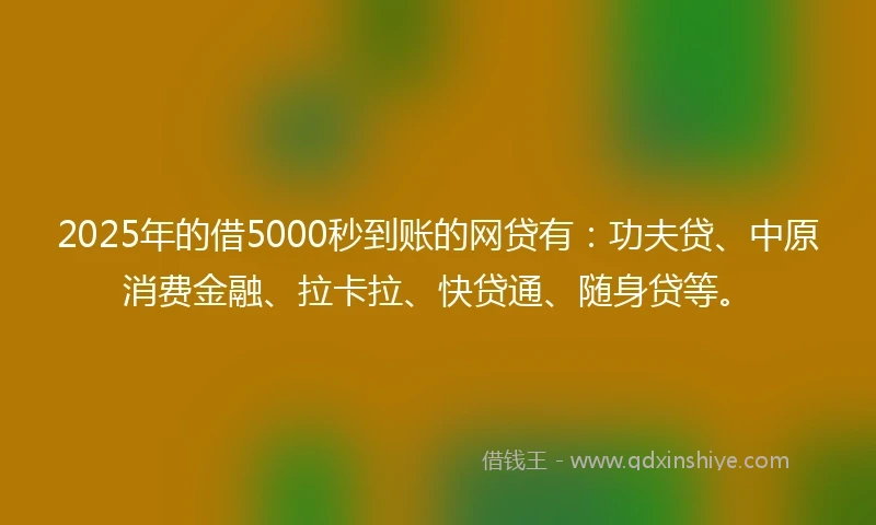 2025年的借5000秒到账的网贷有：功夫贷、中原消费金融、拉卡拉、快贷通、随身贷等。