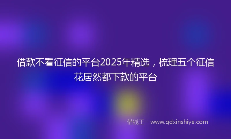 借款不看征信的平台2025年精选，梳理五个征信花居然都下款的平台