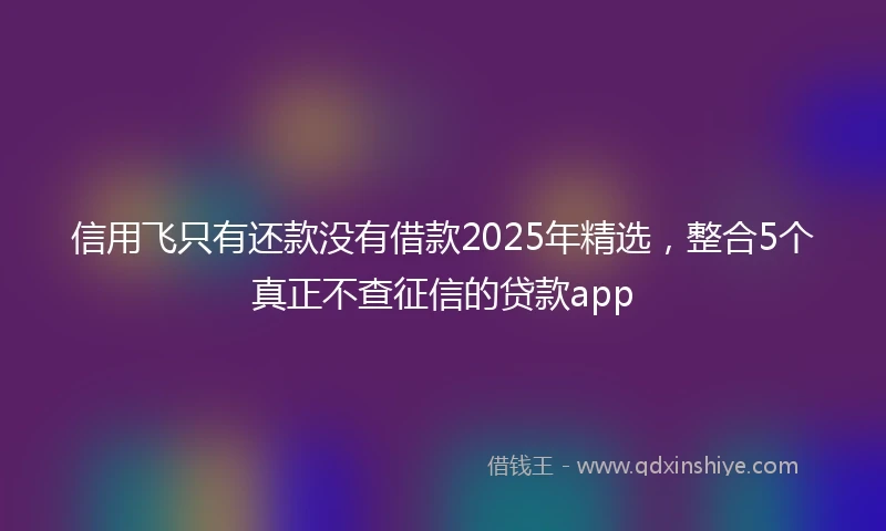 信用飞只有还款没有借款2025年精选，整合5个真正不查征信的贷款app