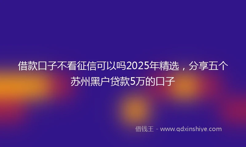 借款口子不看征信可以吗2025年精选，分享五个苏州黑户贷款5万的口子