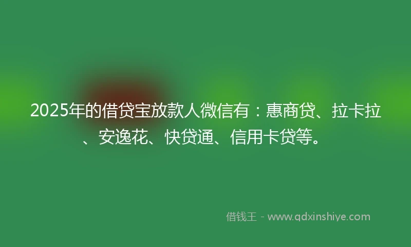 2025年的借贷宝放款人微信有：惠商贷、拉卡拉、安逸花、快贷通、信用卡贷等。