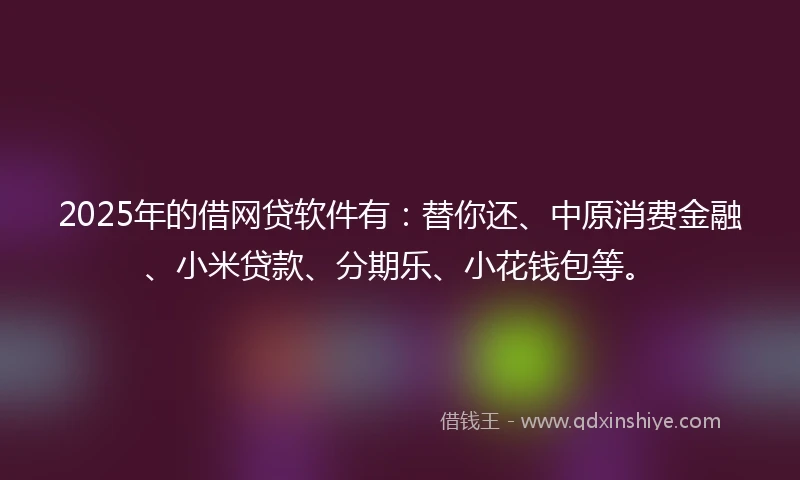 2025年的借网贷软件有：替你还、中原消费金融、小米贷款、分期乐、小花钱包等。