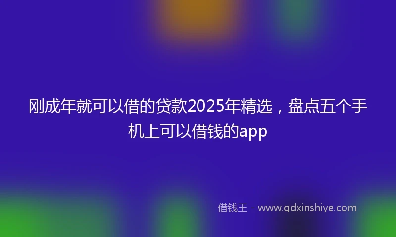 刚成年就可以借的贷款2025年精选，盘点五个手机上可以借钱的app