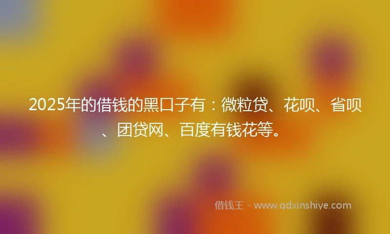 2025年的借钱的黑口子有：微粒贷、花呗、省呗、团贷网、百度有钱花等。