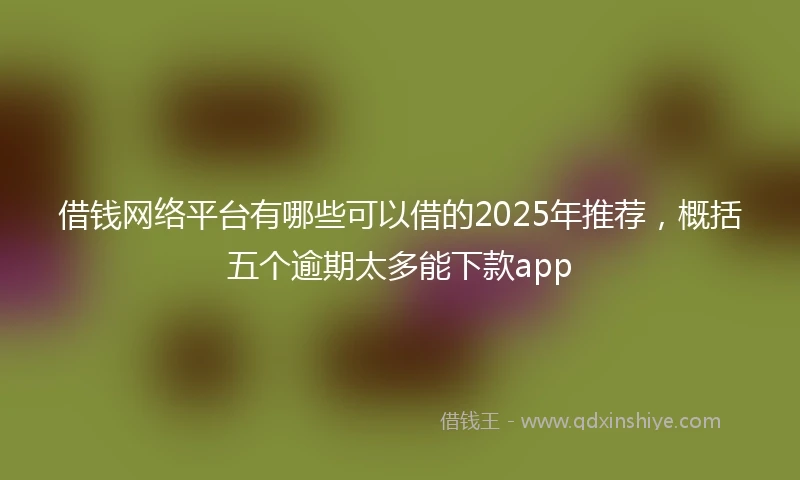 借钱网络平台有哪些可以借的2025年推荐，概括五个逾期太多能下款app