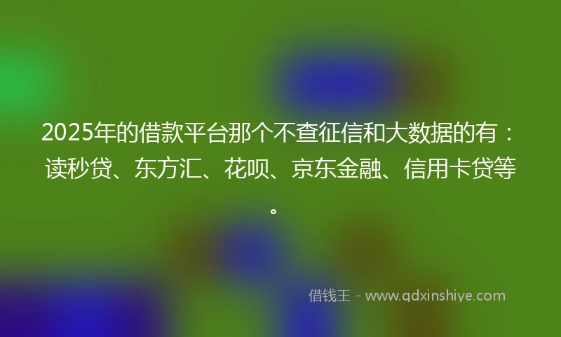 2025年的借款平台那个不查征信和大数据的有：读秒贷、东方汇、花呗、京东金融、信用卡贷等。