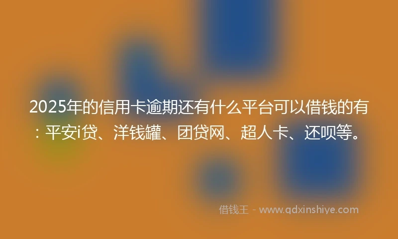 2025年的信用卡逾期还有什么平台可以借钱的有：平安i贷、洋钱罐、团贷网、超人卡、还呗等。