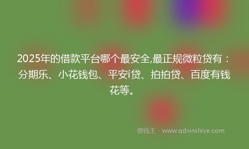 2025年的借款平台哪个最安全,最正规微粒贷有：分期乐、小花钱包、平安i贷、拍拍贷、百度有钱花等。