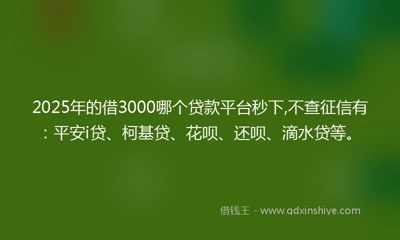 2025年的借3000哪个贷款平台秒下,不查征信有：平安i贷、柯基贷、花呗、还呗、滴水贷等。