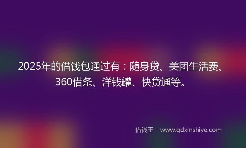 2025年的借钱包通过有：随身贷、美团生活费、360借条、洋钱罐、快贷通等。