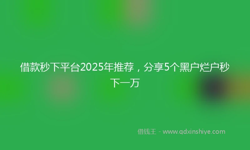借款秒下平台2025年推荐，分享5个黑户烂户秒下一万