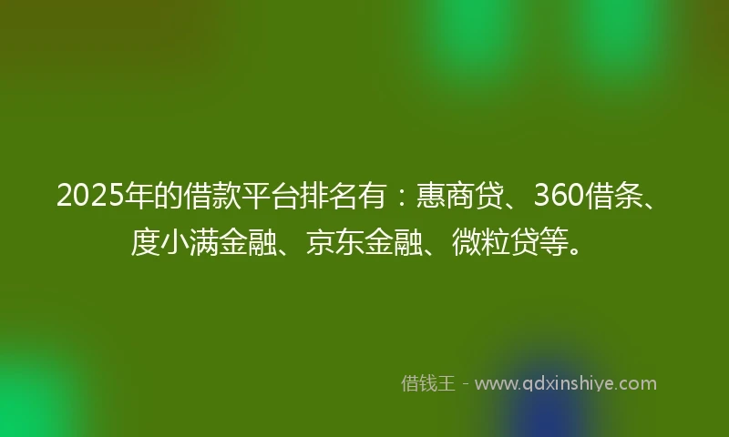 2025年的借款平台排名有：惠商贷、360借条、度小满金融、京东金融、微粒贷等。