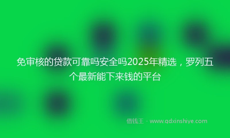 免审核的贷款可靠吗安全吗2025年精选，罗列五个最新能下来钱的平台