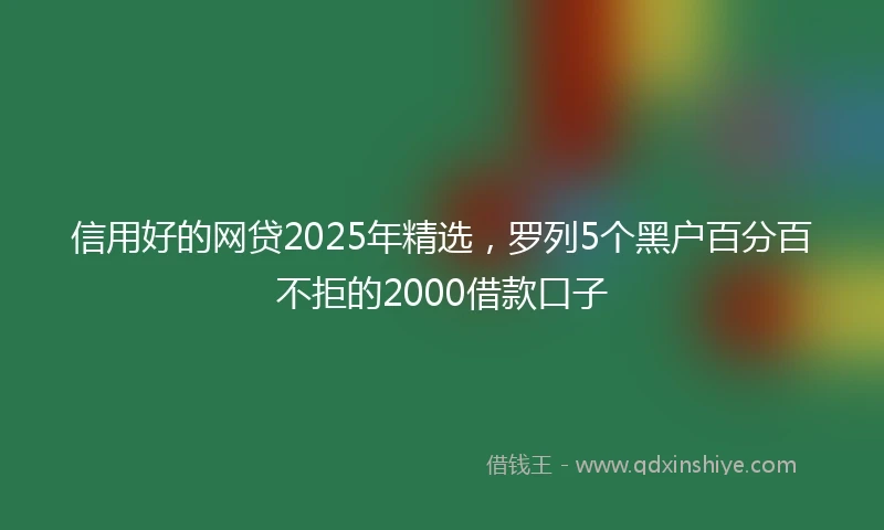 信用好的网贷2025年精选，罗列5个黑户百分百不拒的2000借款口子