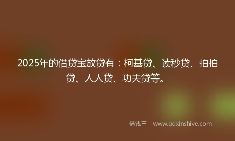 2025年的借贷宝放贷有：柯基贷、读秒贷、拍拍贷、人人贷、功夫贷等。