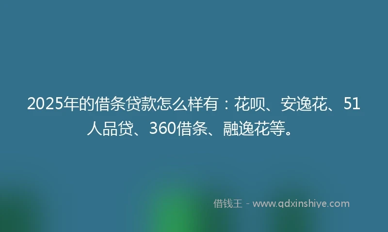 2025年的借条贷款怎么样有：花呗、安逸花、51人品贷、360借条、融逸花等。