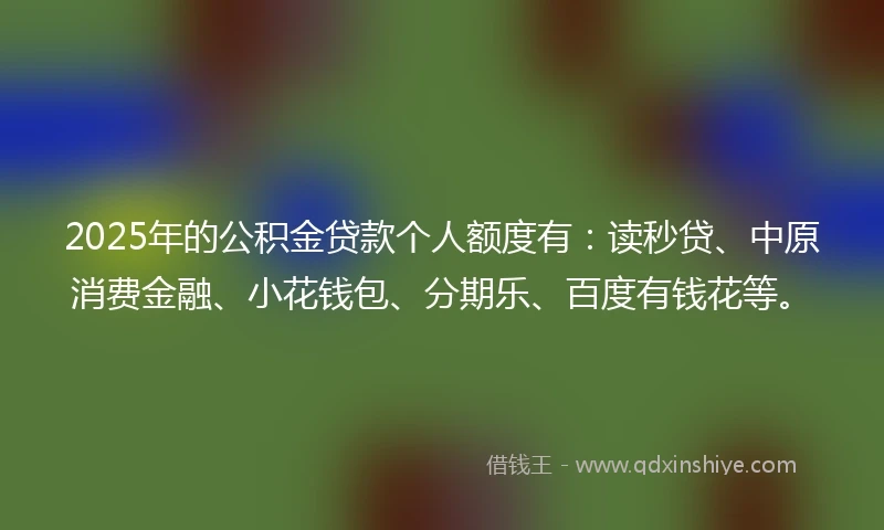 2025年的公积金贷款个人额度有：读秒贷、中原消费金融、小花钱包、分期乐、百度有钱花等。