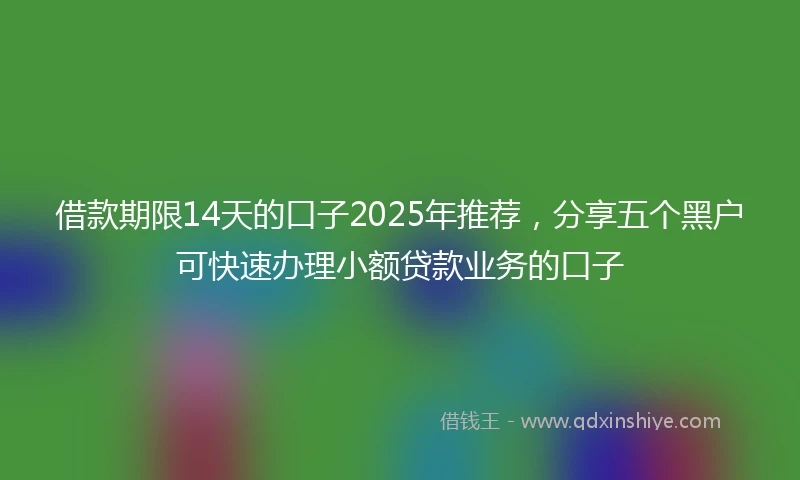 借款期限14天的口子2025年推荐，分享五个黑户可快速办理小额贷款业务的口子