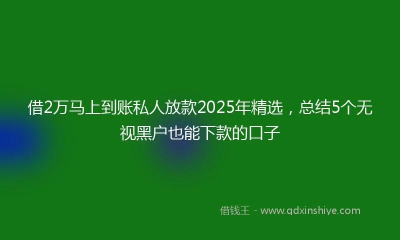 借2万马上到账私人放款2025年精选，总结5个无视黑户也能下款的口子