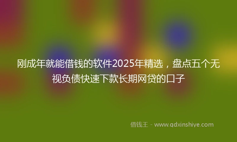 刚成年就能借钱的软件2025年精选，盘点五个无视负债快速下款长期网贷的口子