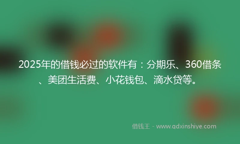 2025年的借钱必过的软件有：分期乐、360借条、美团生活费、小花钱包、滴水贷等。