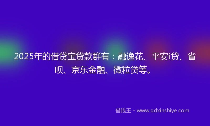2025年的借贷宝贷款群有：融逸花、平安i贷、省呗、京东金融、微粒贷等。