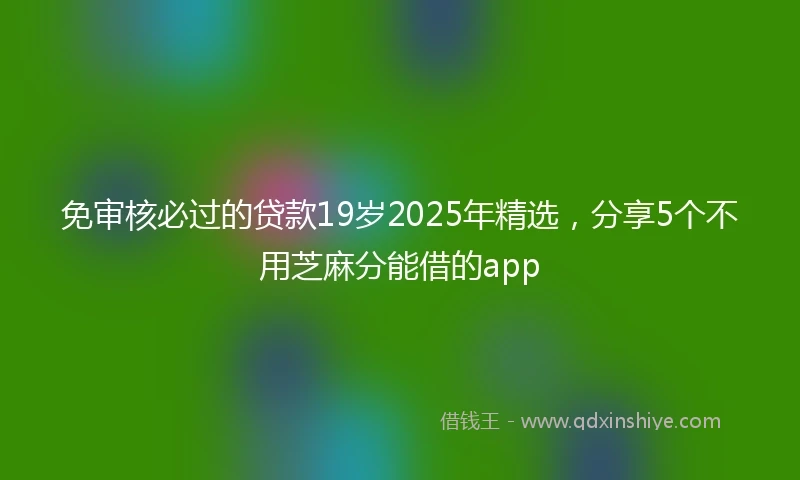 免审核必过的贷款19岁2025年精选，分享5个不用芝麻分能借的app