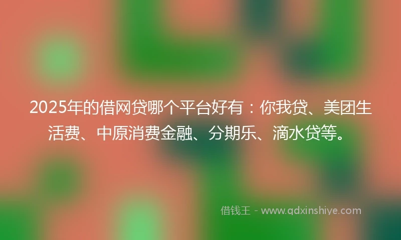 2025年的借网贷哪个平台好有：你我贷、美团生活费、中原消费金融、分期乐、滴水贷等。