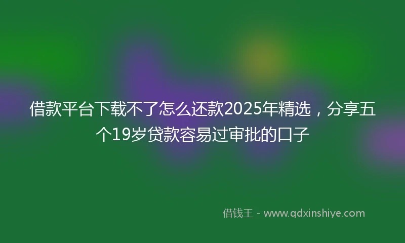 借款平台下载不了怎么还款2025年精选，分享五个19岁贷款容易过审批的口子