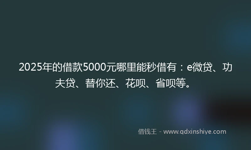 2025年的借款5000元哪里能秒借有：e微贷、功夫贷、替你还、花呗、省呗等。