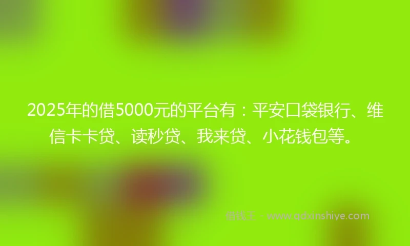 2025年的借5000元的平台有：平安口袋银行、维信卡卡贷、读秒贷、我来贷、小花钱包等。