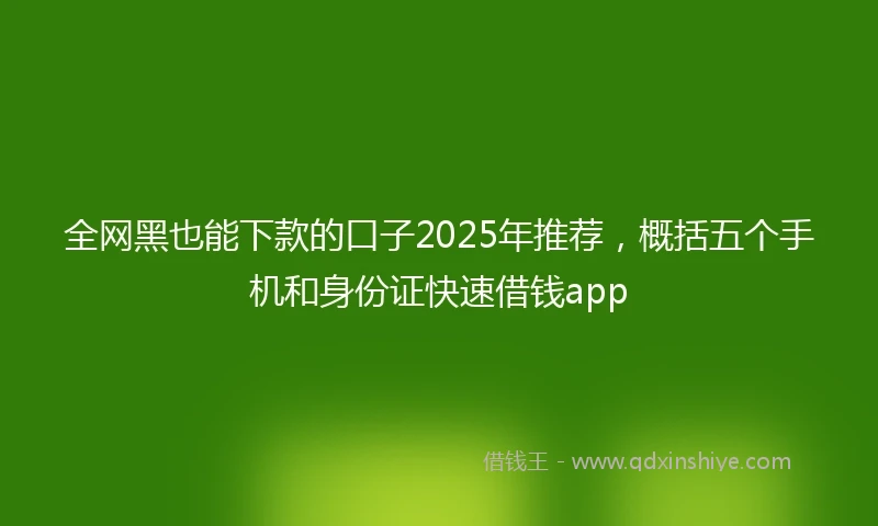 全网黑也能下款的口子2025年推荐，概括五个手机和身份证快速借钱app