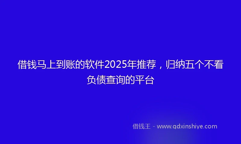 借钱马上到账的软件2025年推荐，归纳五个不看负债查询的平台