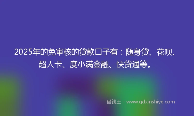 2025年的免审核的贷款口子有：随身贷、花呗、超人卡、度小满金融、快贷通等。