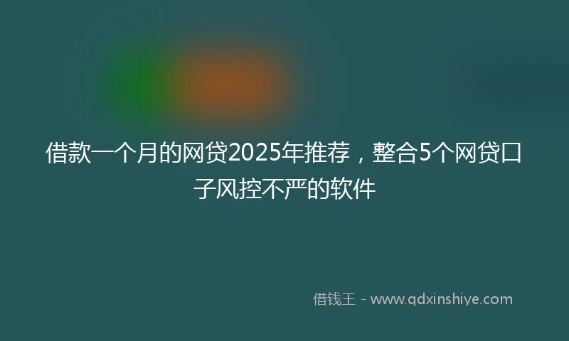 借款一个月的网贷2025年推荐，整合5个网贷口子风控不严的软件