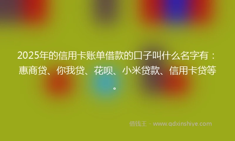2025年的信用卡账单借款的口子叫什么名字有：惠商贷、你我贷、花呗、小米贷款、信用卡贷等。