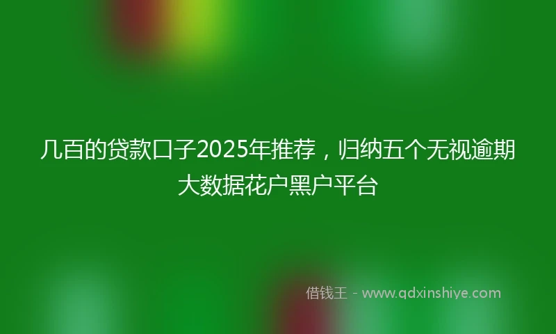 几百的贷款口子2025年推荐，归纳五个无视逾期大数据花户黑户平台